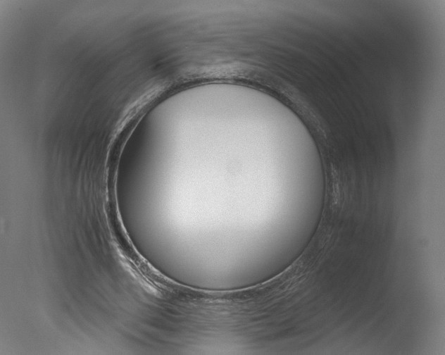 X0000078000486200610271016