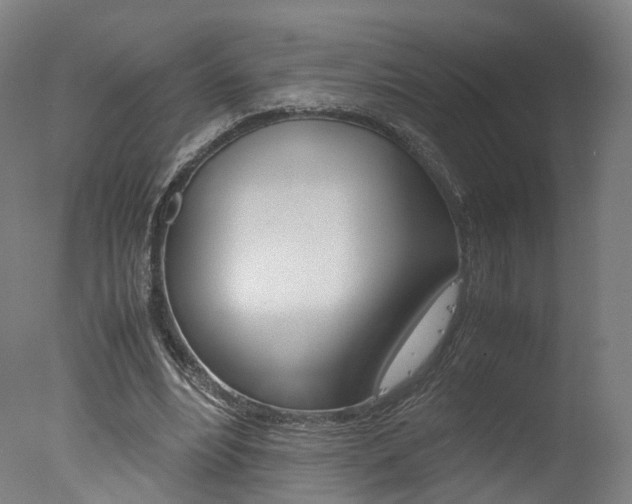 X0000078000488200610271016