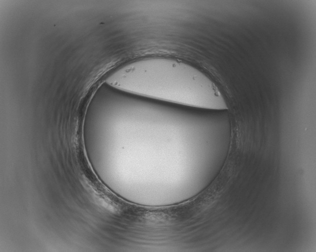 X0000078000490200610271016