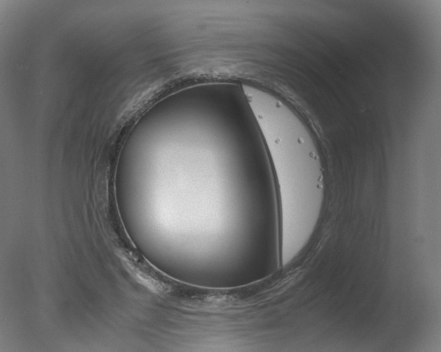 X0000078000493200610271016