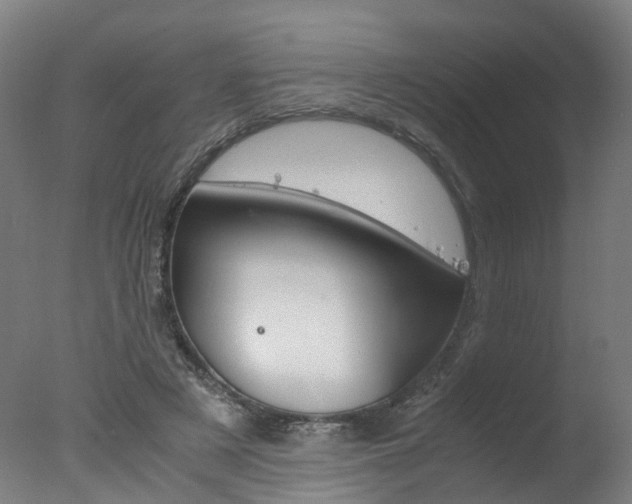 X0000078000497200610271016