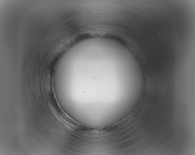 X0000078000498200610271016