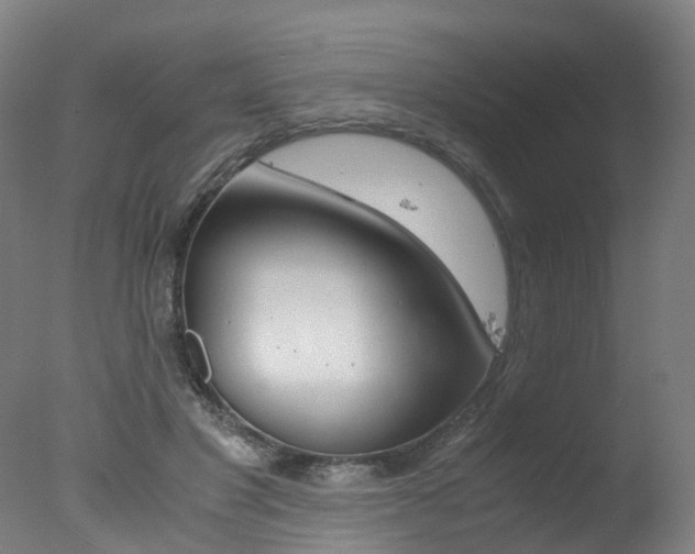 X0000078000501200610271016