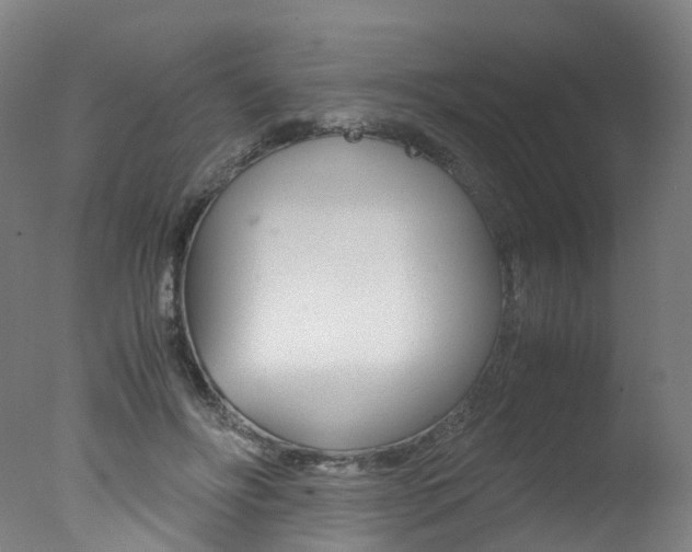 X0000078000502200610271016