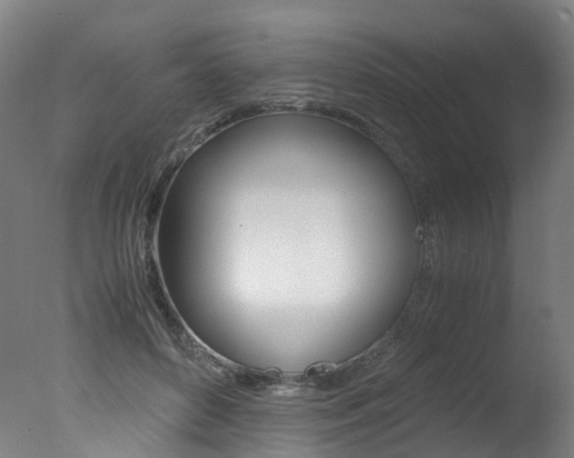 X0000078000504200610271016