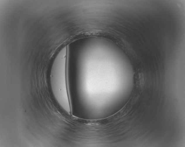 X0000078000508200610271016
