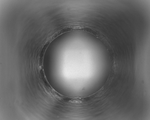 X0000078000512200610271016