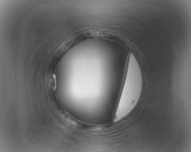 X0000078000513200610271016