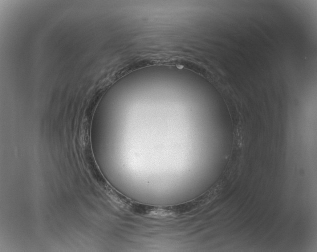 X0000078000515200610271016
