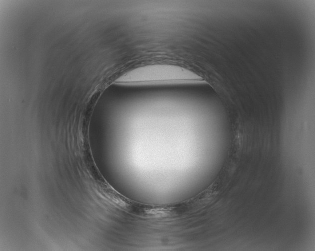 X0000078000516200610271016