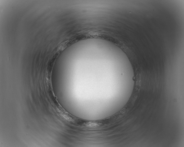 X0000078000518200610271016