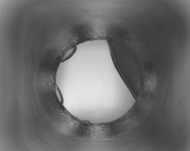X0000078000523200610271016