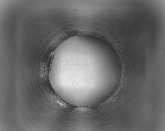 X0000078000528200610271016