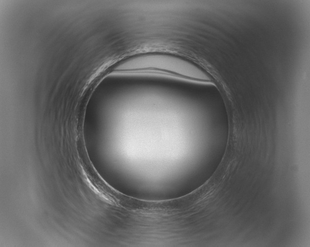 X0000078000530200610271015