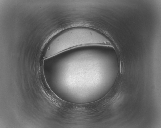X0000078000531200610271015