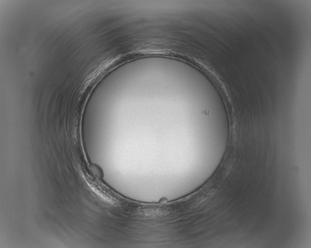X0000078000533200610271015