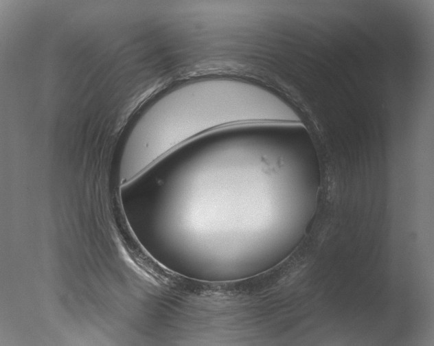 X0000078000538200610271015