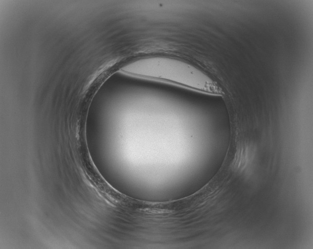 X0000078000539200610271015