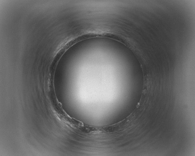 X0000078000544200610271015