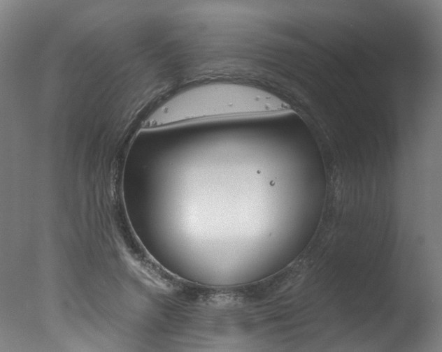 X0000078000546200610271015