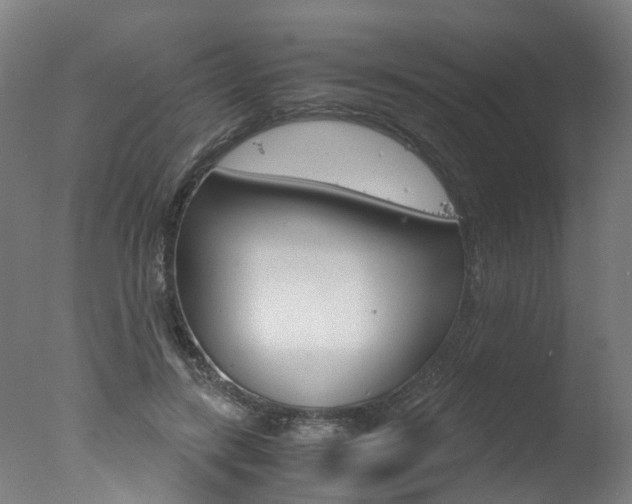 X0000078000547200610271015