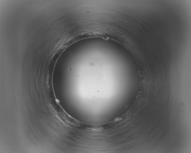X0000078000548200610271015
