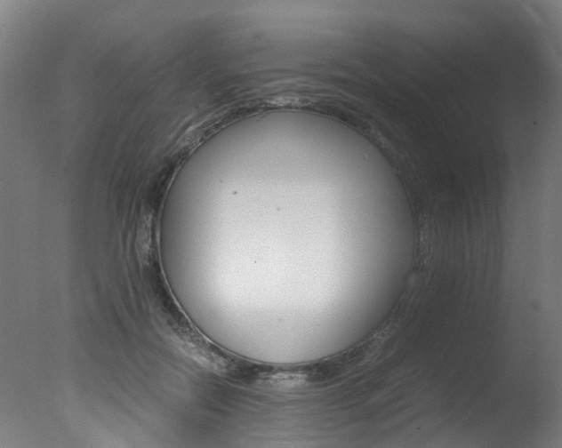 X0000078000554200610271015