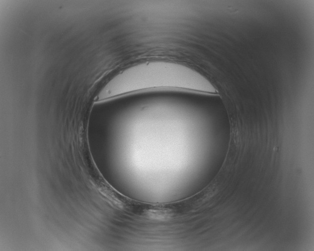 X0000078000556200610271015