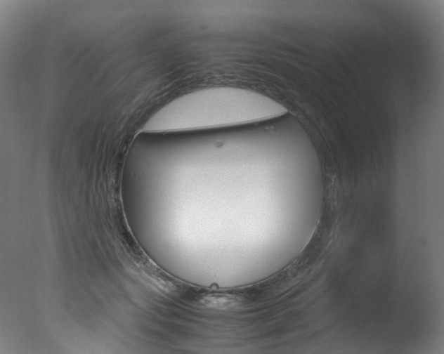 X0000078000557200610271015