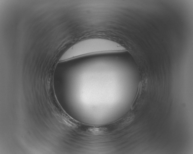 X0000078000558200610271015