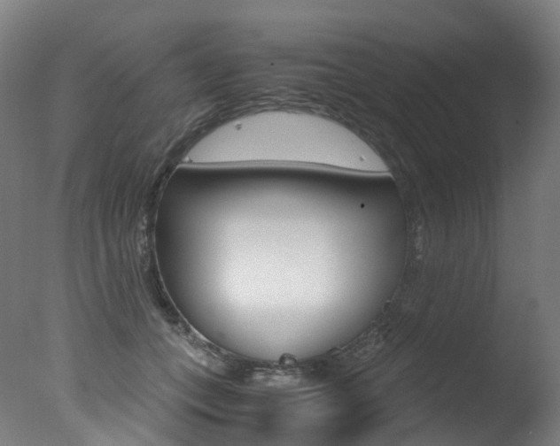 X0000078000559200610271015