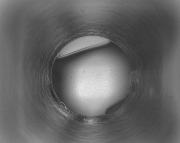 X0000078000564200610271015