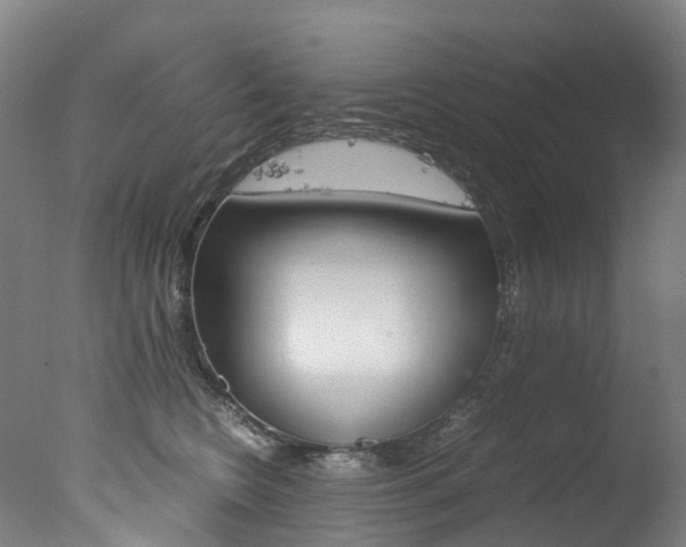 X0000078000566200610271016