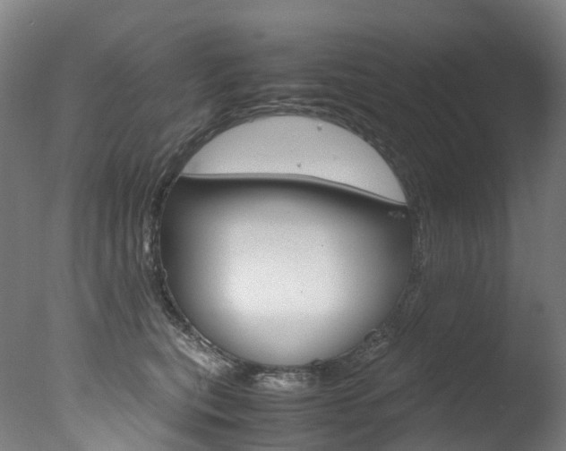 X0000078000567200610271016