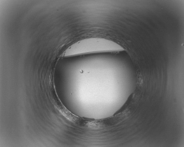 X0000078000568200610271016