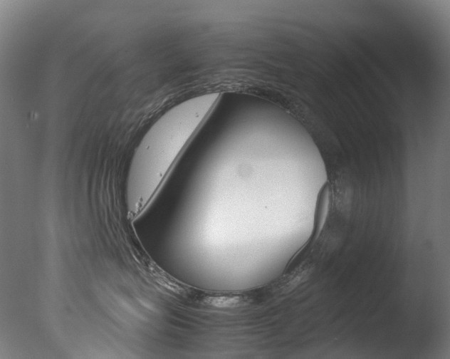 X0000078000575200610271016