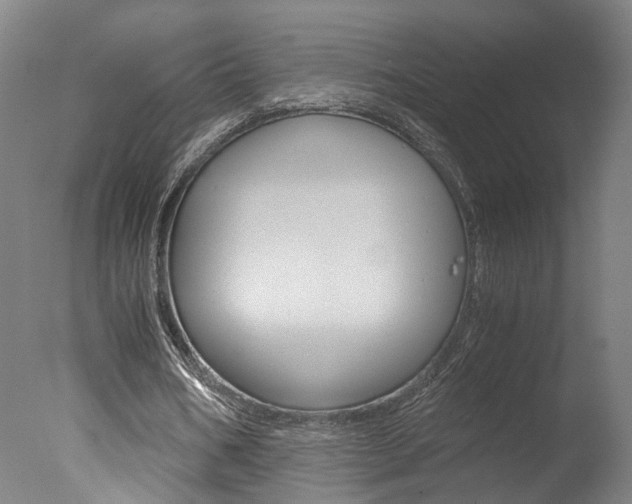 X0000078000578200610271015