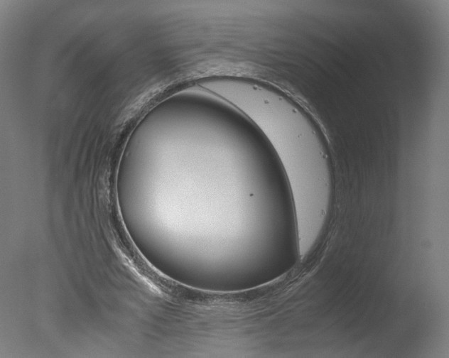 X0000078000581200610271015