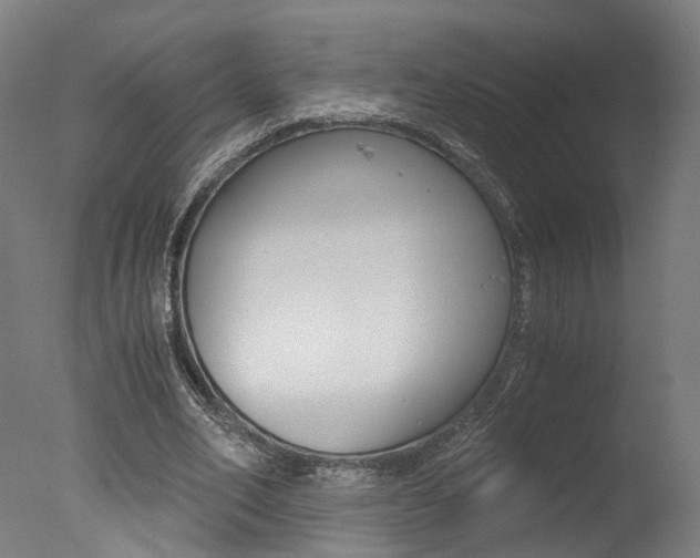 X0000078000582200610271015