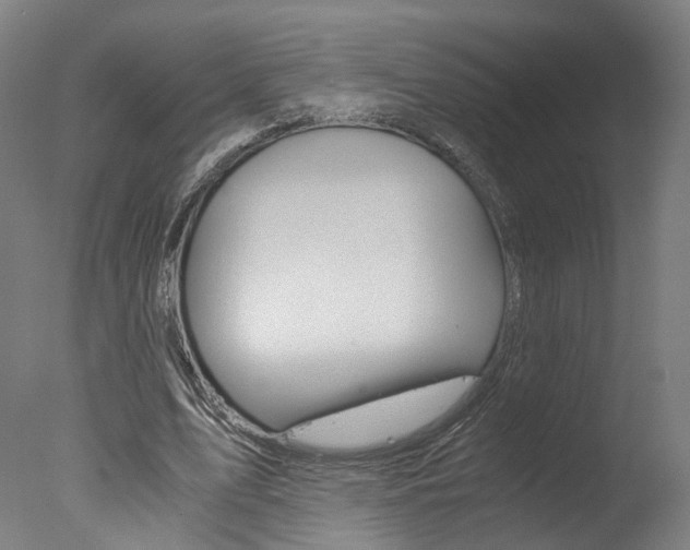 X0000078000583200610271015