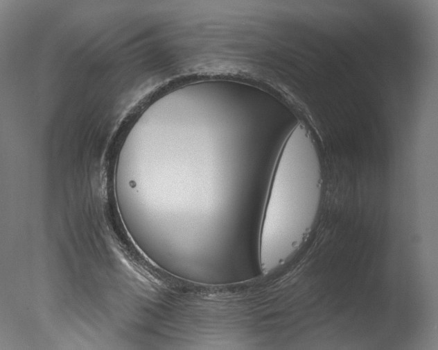 X0000078000584200610271015