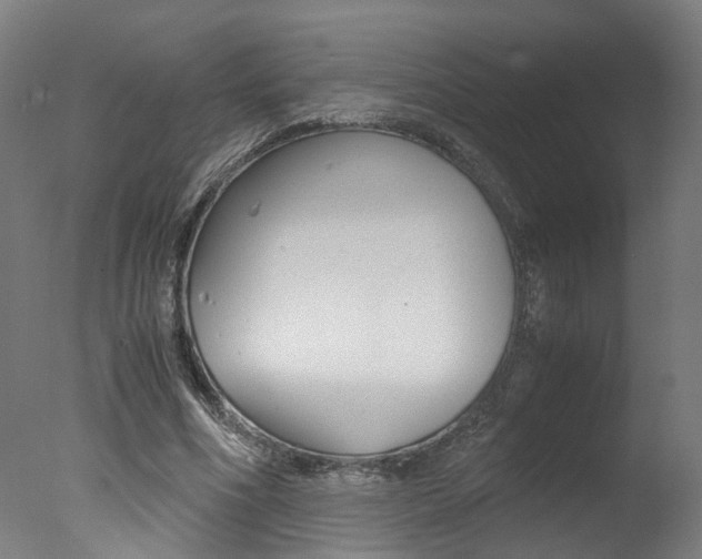 X0000078000586200610271015