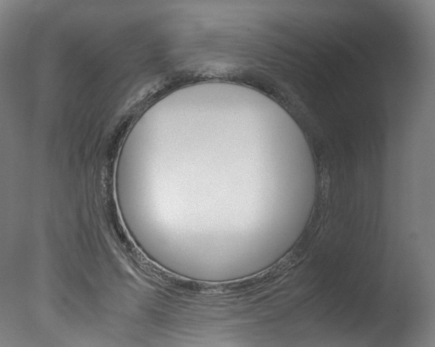 X0000078000591200610271015