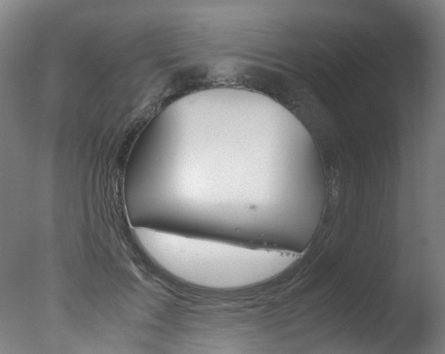X0000078000603200610271014