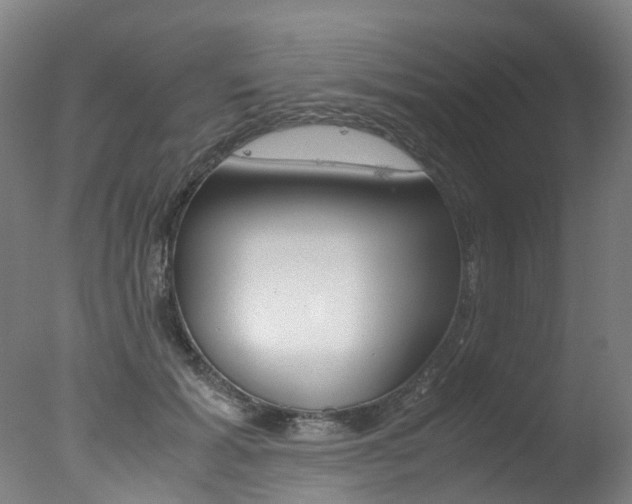 X0000078000605200610271014