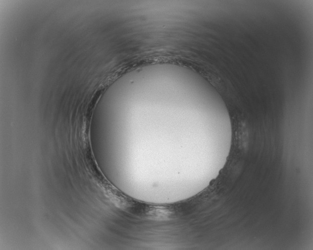 X0000078000610200610271014