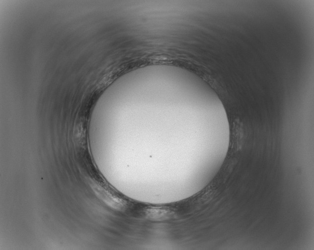 X0000078000614200610271014