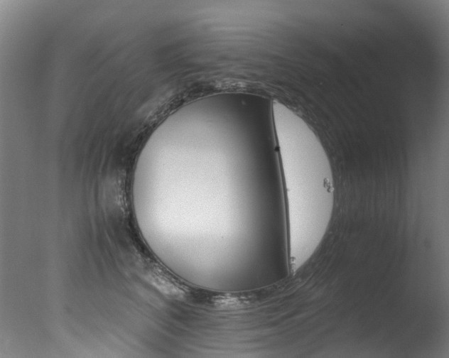 X0000078000616200610271014