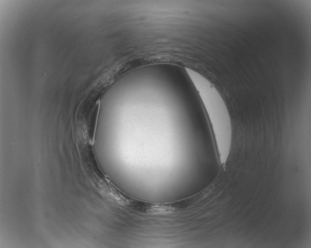 X0000078000617200610271014