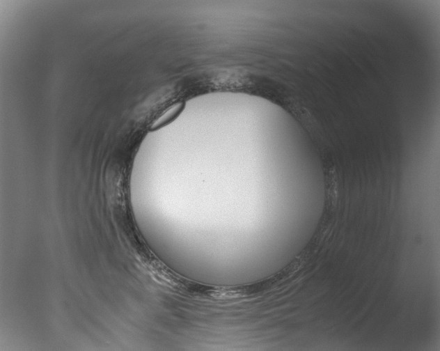 X0000078000619200610271014